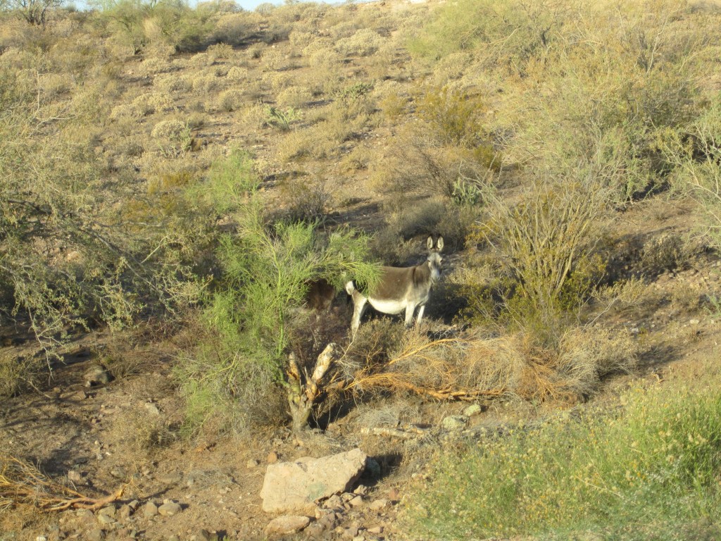 Every marina has a few jackasses I&nbsp;guess