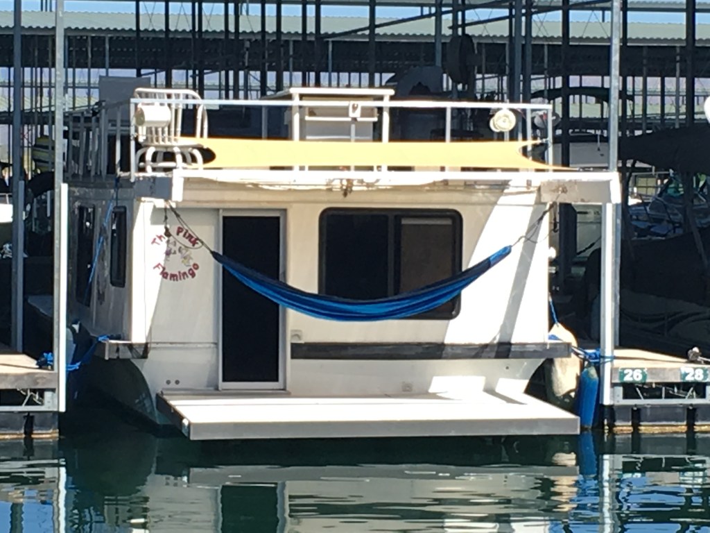 Quick Video of The Pink&nbsp;Flamingo